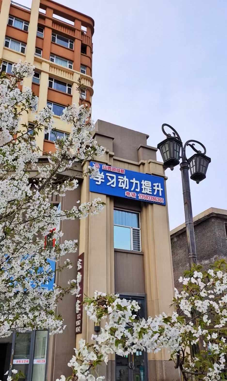 ab896431d1a283e0188b99ca602409e9.jpg